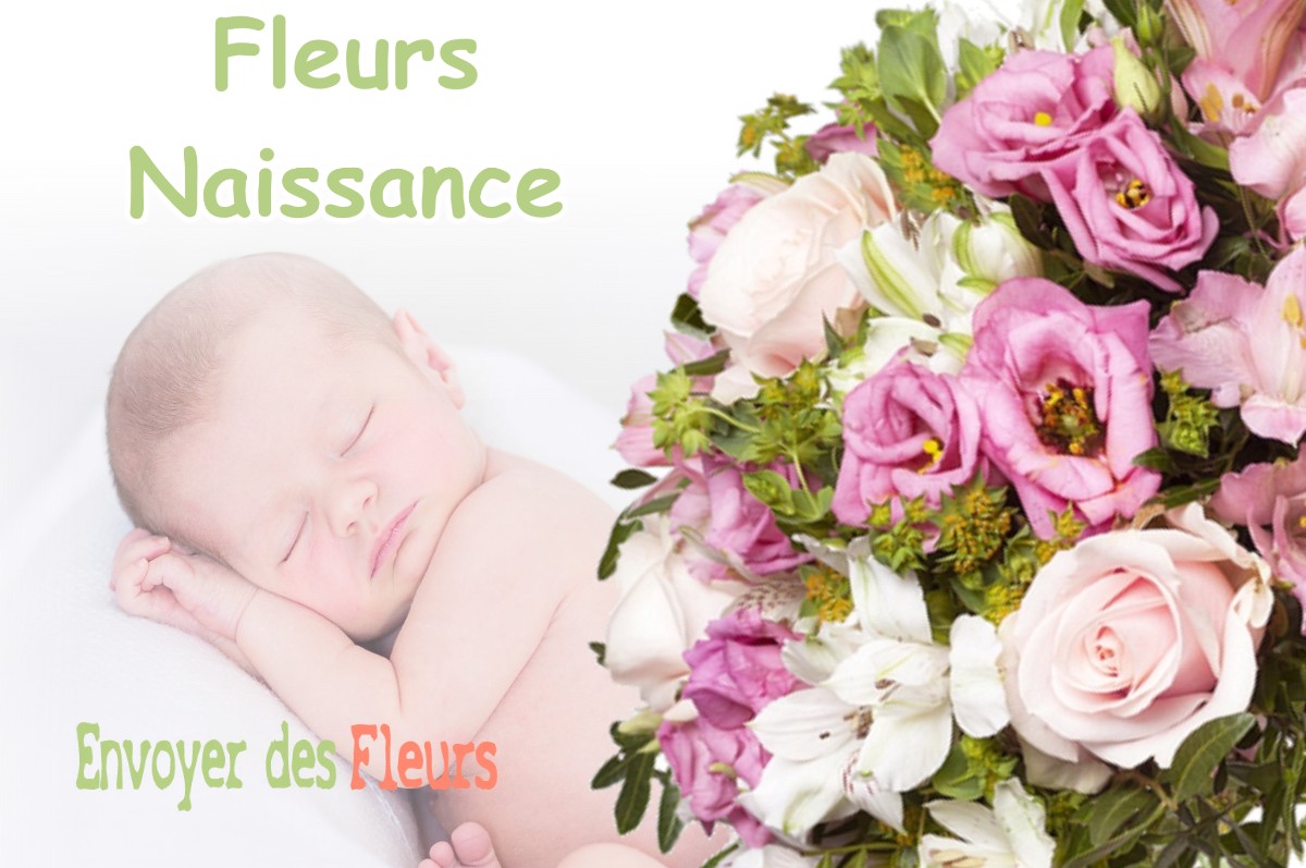 lIVRAISON FLEURS NAISSANCE à MONTSEVEROUX